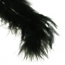 Feathers Black Real bird feathers for crafting Spring decoration 20g