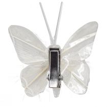 Product Feather butterflies on clip white glitter 5x4.5cm 4 pcs