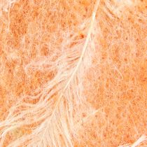 Product Felt ribbon wool ribbon decorative fabric orange feathers wool felt 15cm 5m