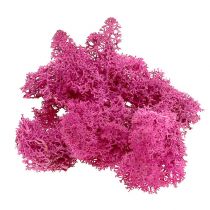 Reindeer moss for decorating and handicrafts Light Pink 400g