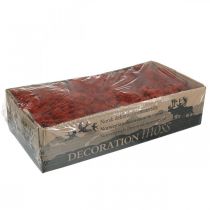 Product Decorative Moss Red Siena Natural Moss for Crafts Dried, colored 500g