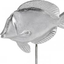 Fish to place, maritime decoration, decorative fish made of metal silver, natural colors H23cm