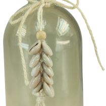 Product Bottles decorative glass vase cowrie shells maritime H26cm 2pcs