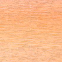 Product Florist crepe paper salmon 50x250cm
