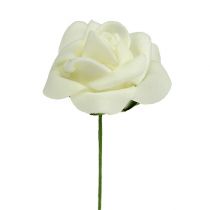 Product Foam Rose Ø3.5cm Cream 48 pcs