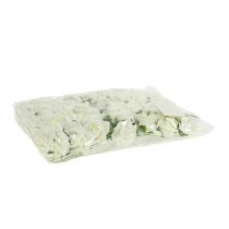 Product Foam Rose Ø3.5cm Cream 48 pcs