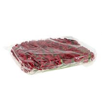 Product Foamrose Red Ø4cm 48 pcs