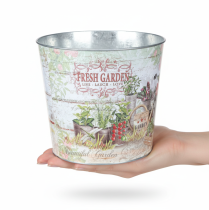 Product Metal planter Fresh Garden Colorful Vintage H18cm
