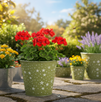 Product Silver and green planter, metal flower pot with stars, Ø14cm