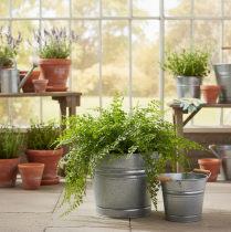 Product Vintage decorative metal bucket planter/pot, Ø22cm, H20cm