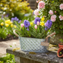 Product Zinc bowl oval 23cm x 12cm H10.5cm