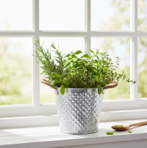 Product Zinc pot, diamond shape, with rope handles, whitewashed, Ø24.5cm H21cm