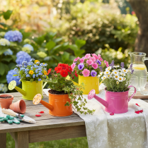 Product Colorful decorative watering can, Ø11cm, H9.5cm, for planting, spring table decoration, metal, set of 8