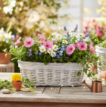 Product Basket planter with foil insert, oval, white, 37cm