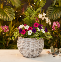 Product Round woven basket, large decorative basket for planting, 23cm