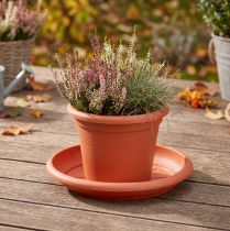 Product Coaster "Linda" Ø30cm terracotta