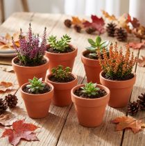 Product Clay flower pot, Ø5cm, height 4cm, 10 pieces