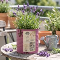 Product Vintage planter decorative box purple metal summer decoration Ø11cm H10.5cm