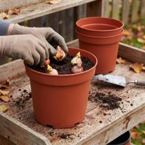 Product Plant Pot Plastic Ø29cm 10pcs
