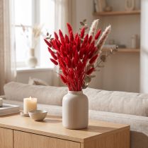 Product Decorative grass red, Lagurus, velvet grass, dried flower arrangements L20–50cm 25g