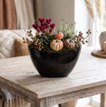 Product Decorative Bowl Black Oval Plant Boat 24x9.5cmx14.5cm