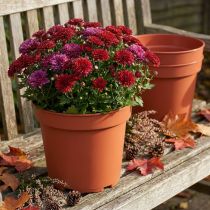 Product Plant Pot Plastic Ø23cm 10pcs