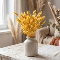 Product Lagurus Yellow, Velvet Grass, Rabbit's Tail Grass L20-50cm 25g