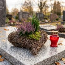 Product Plant bowl heart cemetery, vine heart for planting 15cm 2pcs