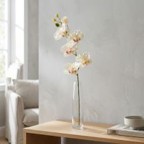 Product Orchid Phalaenopsis artificial 6 flowers cream pink 70cm