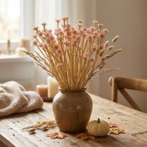 Product Italian Strawflower Artificial Flowers Pink L28cm