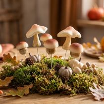 Product Decorative Mushrooms for Sticking Brown Decorative Mushrooms Autumn 3.5/5.5cm 16 pcs