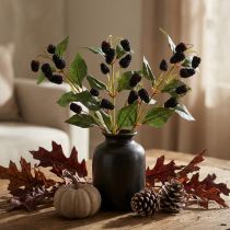 Product High-quality decorative branch with mulberry fruits for stylish arrangements