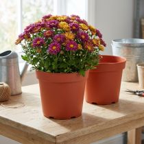 Product Plant Pot Plastic Ø21cm 10pcs