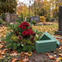 Product OASIS® plug moss maxlife standard 20 bricks