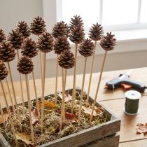 Product Split sticks 40cm natural 200 pieces