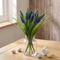 Product Grape Hyacinths 28cm - 30cm Blue 15 pcs
