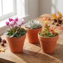 Product Flowerpot Clay Ø6cm high 5cm 10pcs
