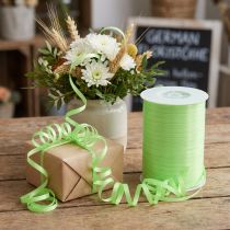 Product Curling ribbon light green 4.8mm 500m