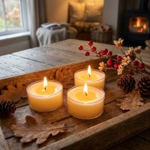 Product Pure Nature Lights tealights, 10-hour burning time, rapeseed wax candles, 8 pieces