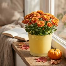 Product Glass flower pot yellow plant pot glass tub Ø14.5cm H12.5cm