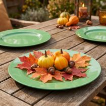 Product Robust green plastic plate – 28 cm, perfect for everyday decoration and outdoor activities – 4 pieces