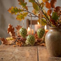 Product Pine cone pendants as autumn decorations for hanging, 5cm, 3 pieces