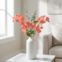 Product Orchid Mokara Salmon 50cm 6 pcs