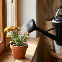 Product Watering can shower black 5l