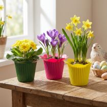 Product Plastic flower pot Ø10.5cm 25 pcs