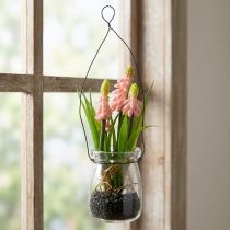 Product Grape hyacinth artificial pink in a glass 16cm