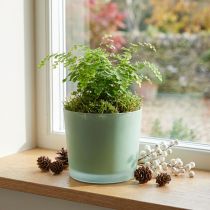 Product Glass flower pot green planter glass tub Ø14.5cm H12.5cm
