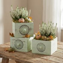 Product Plant box decorative drawer shabby green 15-23cm set of 3