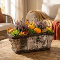Product Plant box plant pot square birch/vines 28×14×11.5cm