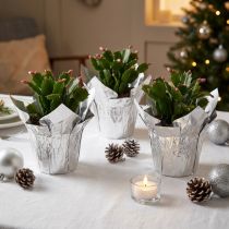 Product Mini plant pot, silver, gift packaging, Ø4.5cm, H7cm, 8 pieces